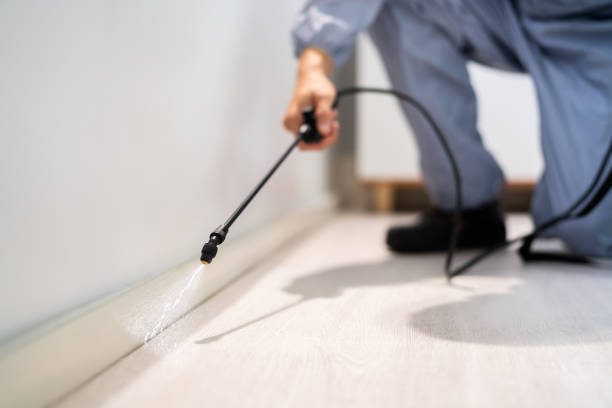 Licensed Pest Control service in McAlester, OK - Show Me Pest Control