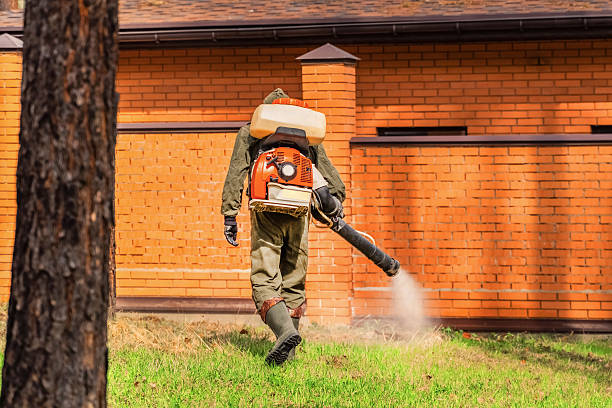 Top rated local Wasp Removal specialists in McAlester, OK